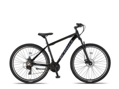 Altec King 29 inch MTB 2D Zwart