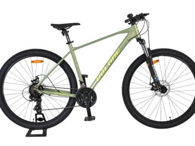 Volare X-Trail MTB - Jongens - 29 inch - L - Groen - 21 versnellingen
