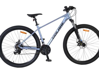 Volare X-Trail MTB - Jongens - 29 inch - M - Grijs - 21 versnellingen